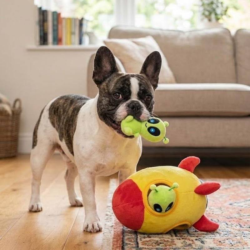 Hide and Seek Squeaky Plush Dog Toy