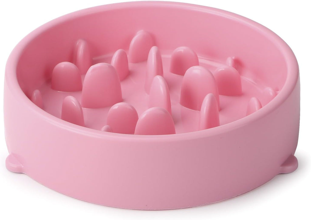 Slow Feeder Dog Bowl