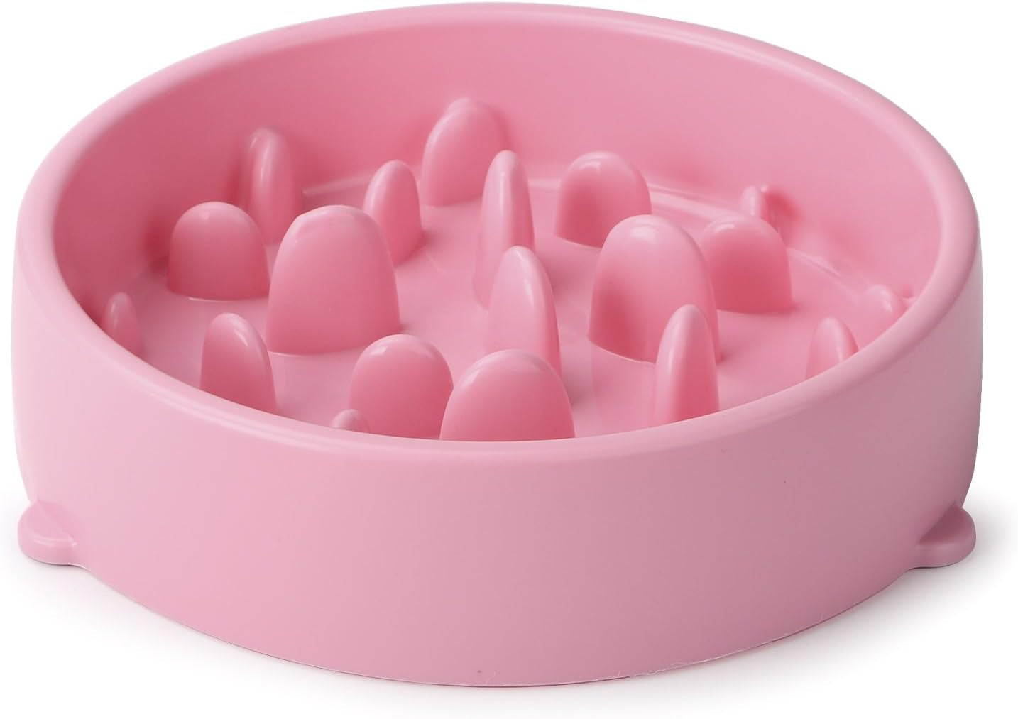 Slow Feeder Dog Bowl