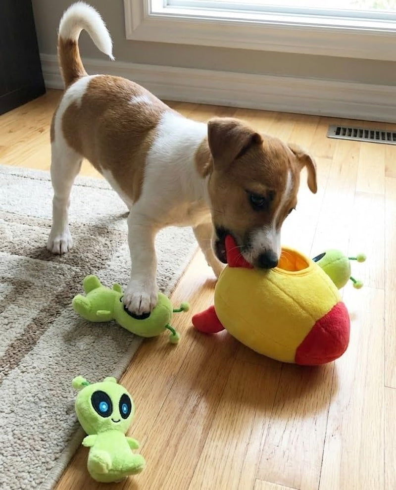 Hide and Seek Squeaky Plush Dog Toy