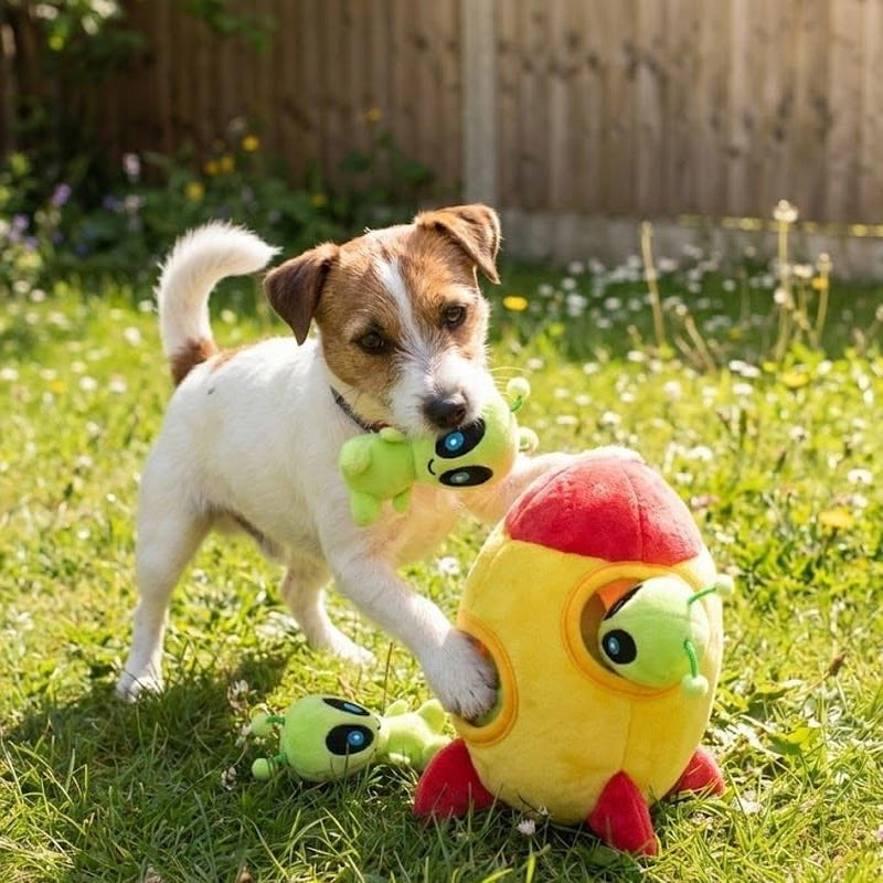 Hide and Seek Squeaky Plush Dog Toy
