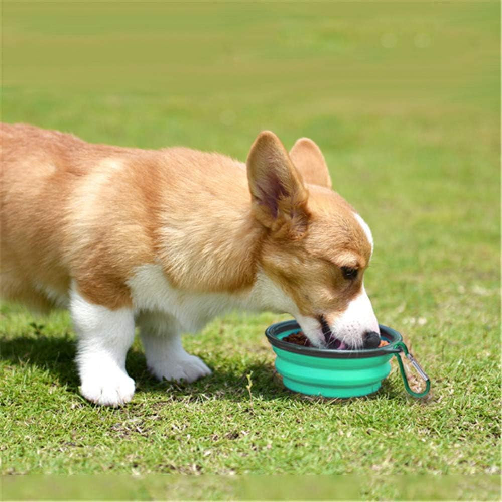 Collapsible Dog Travel Bowl Set — 2 Pack