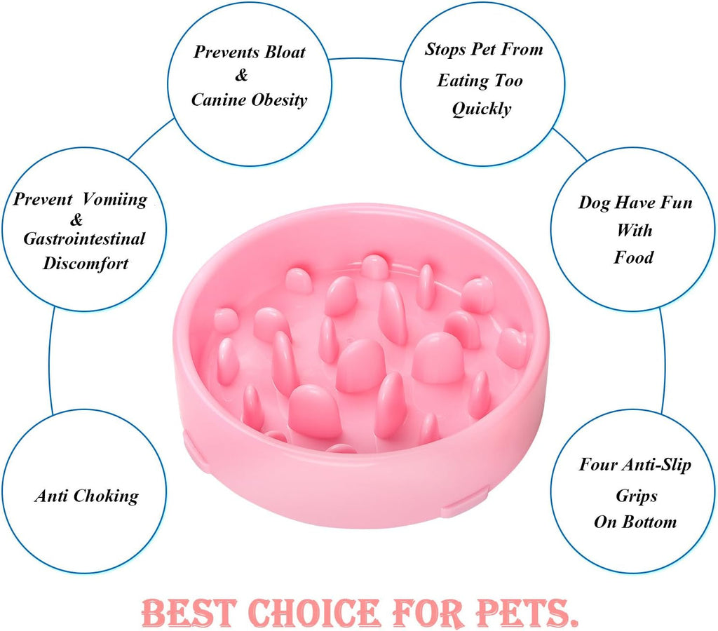 Slow Feeder Dog Bowl