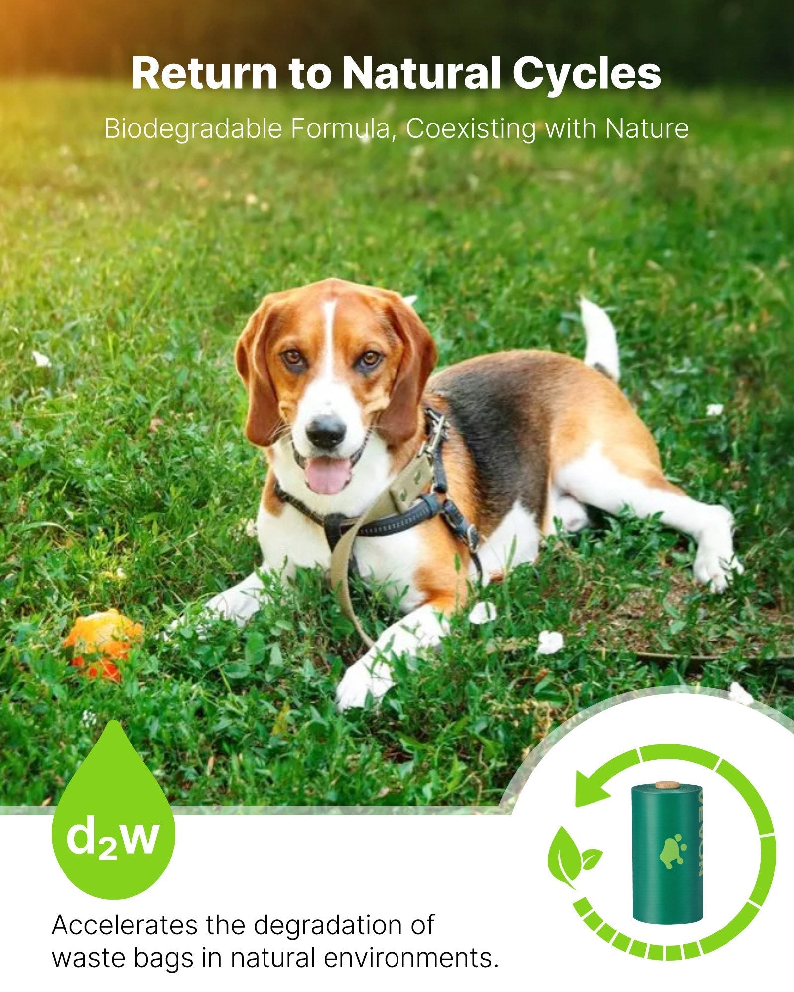 Dog Waste Bags — 270-Count Refill Rolls