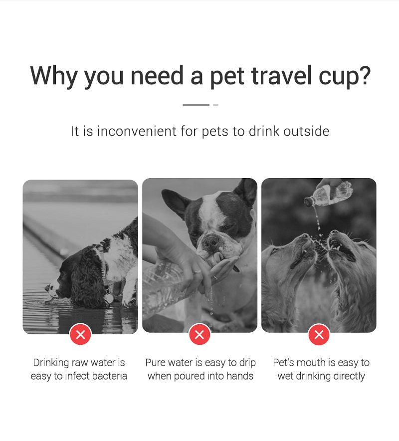Portable Dog Water Bottle for Travel
