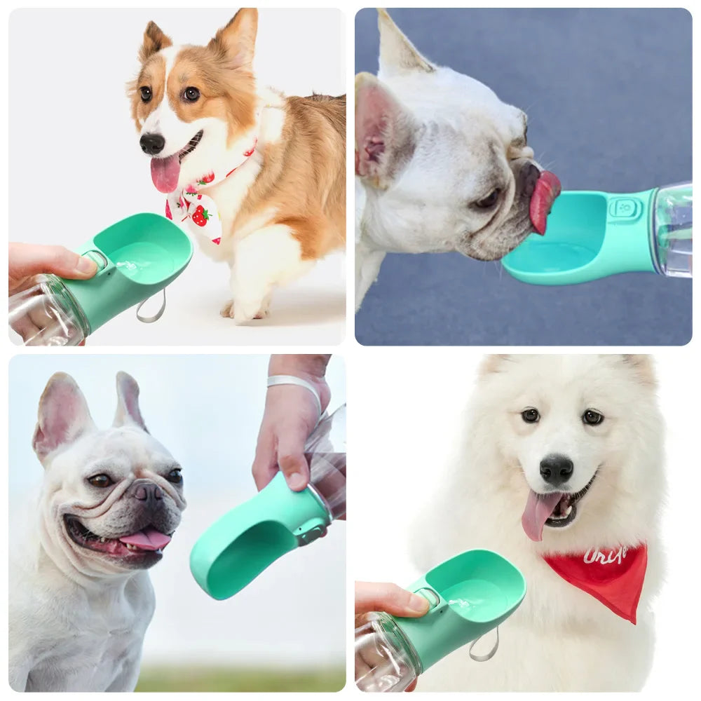 Portable Dog Water Bottle for Travel