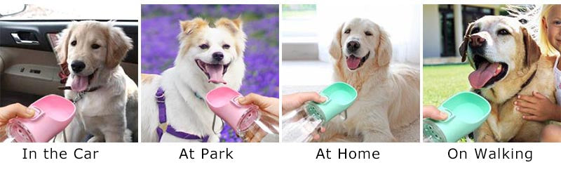 Portable Dog Water Bottle for Travel