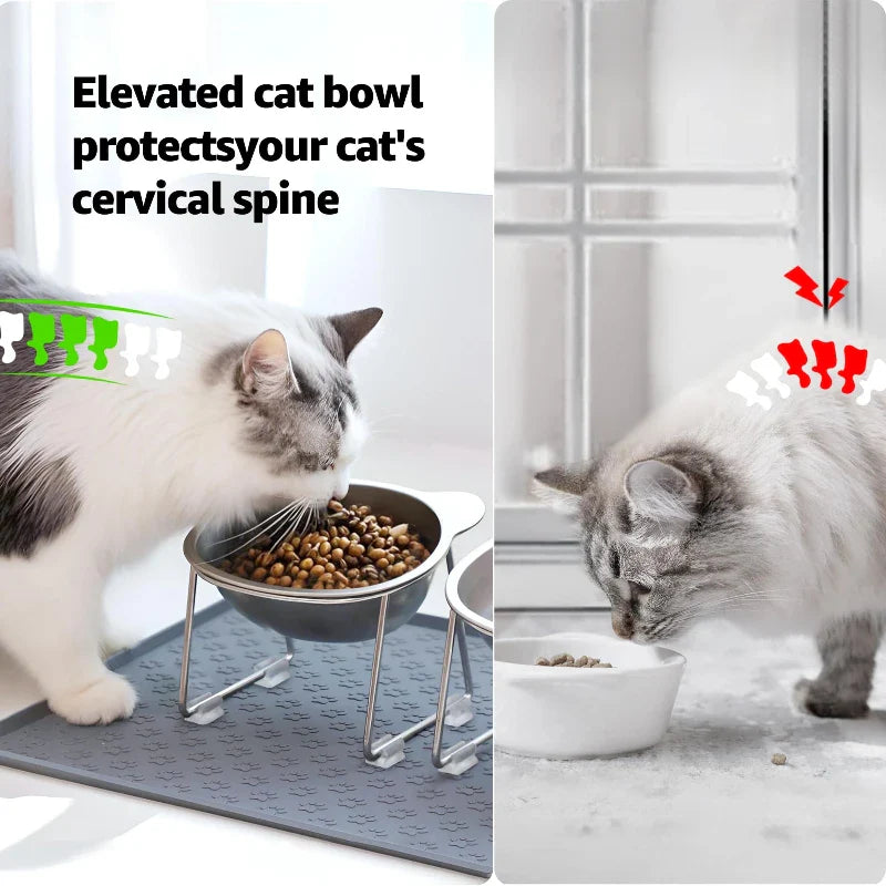 Stainless Steel Raised Cat Bowl with Stand