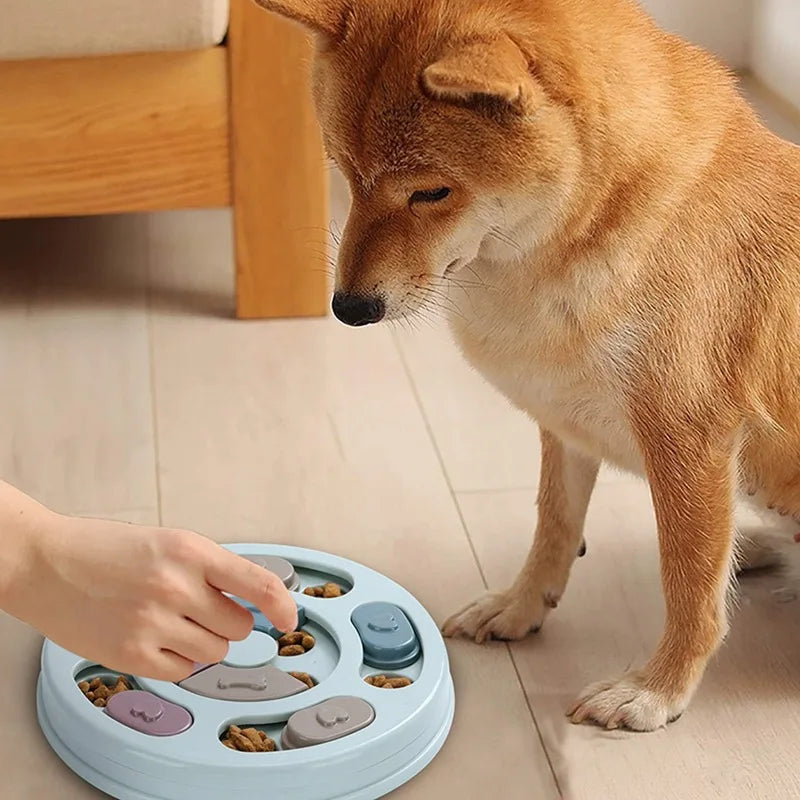Interactive Slow Feeder Dog Bowl
