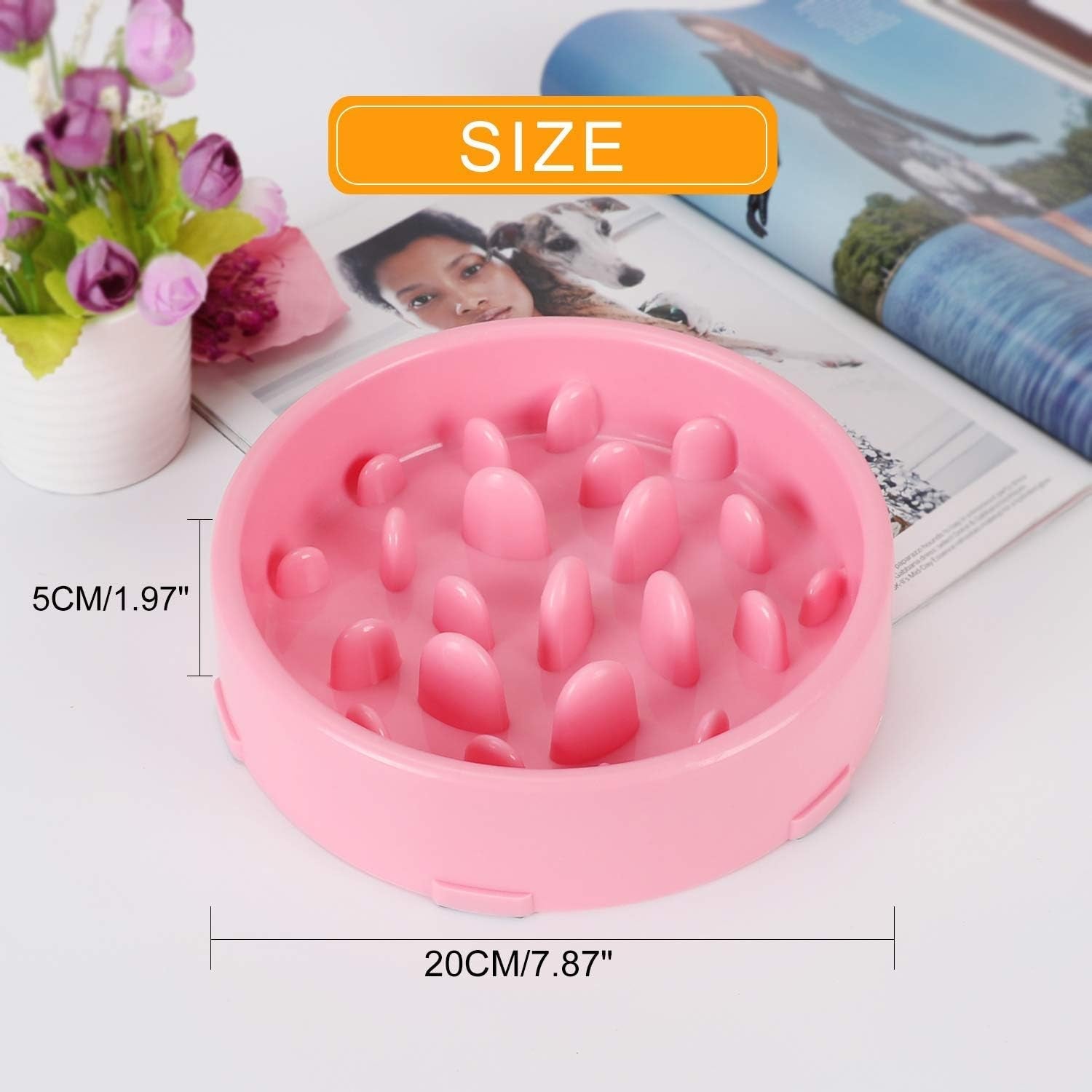 Slow Feeder Dog Bowl