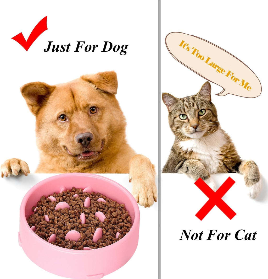 Slow Feeder Dog Bowl