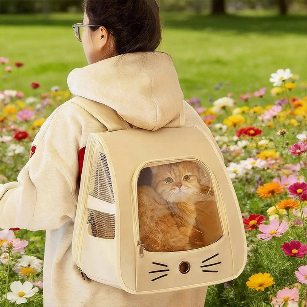 Breathable Mesh Pet Carrier Backpack