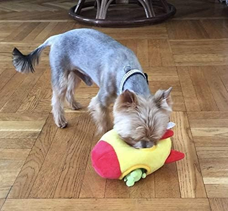 Hide and Seek Squeaky Plush Dog Toy
