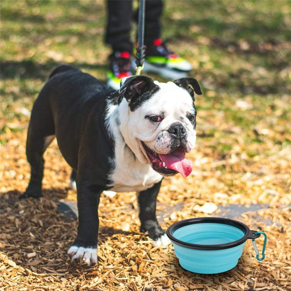 Collapsible Dog Travel Bowl Set — 2 Pack