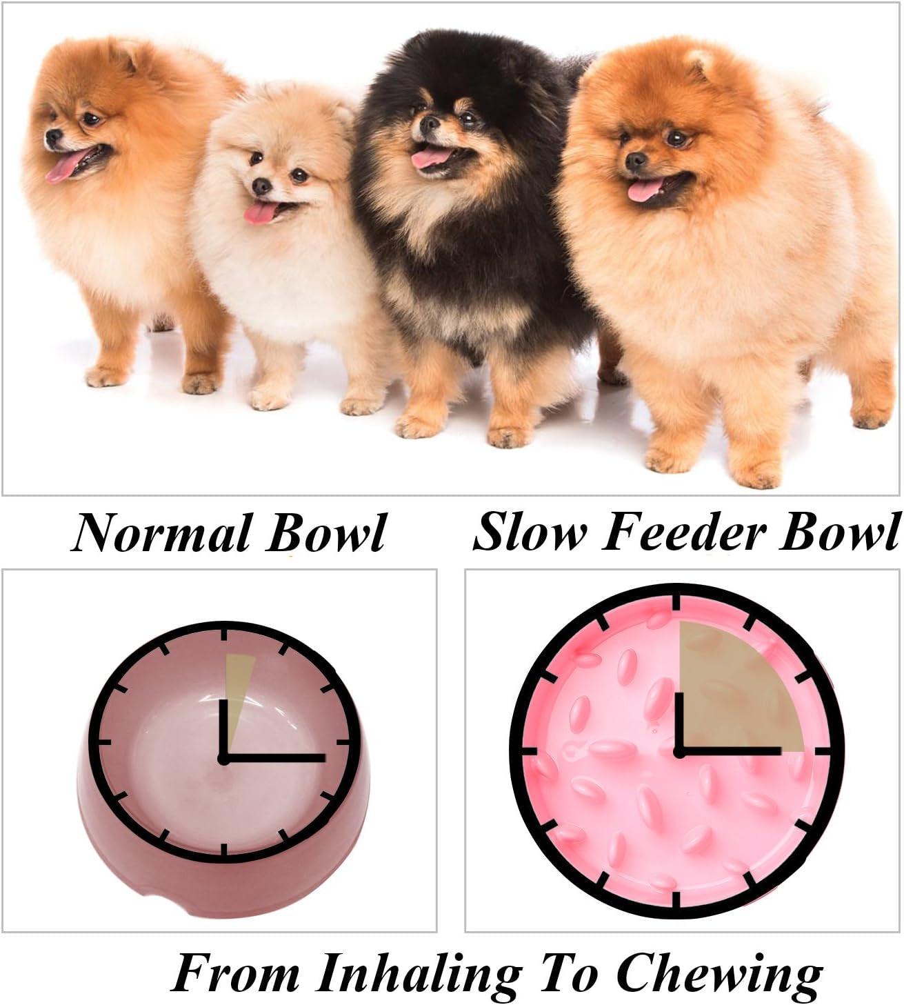 Slow Feeder Dog Bowl