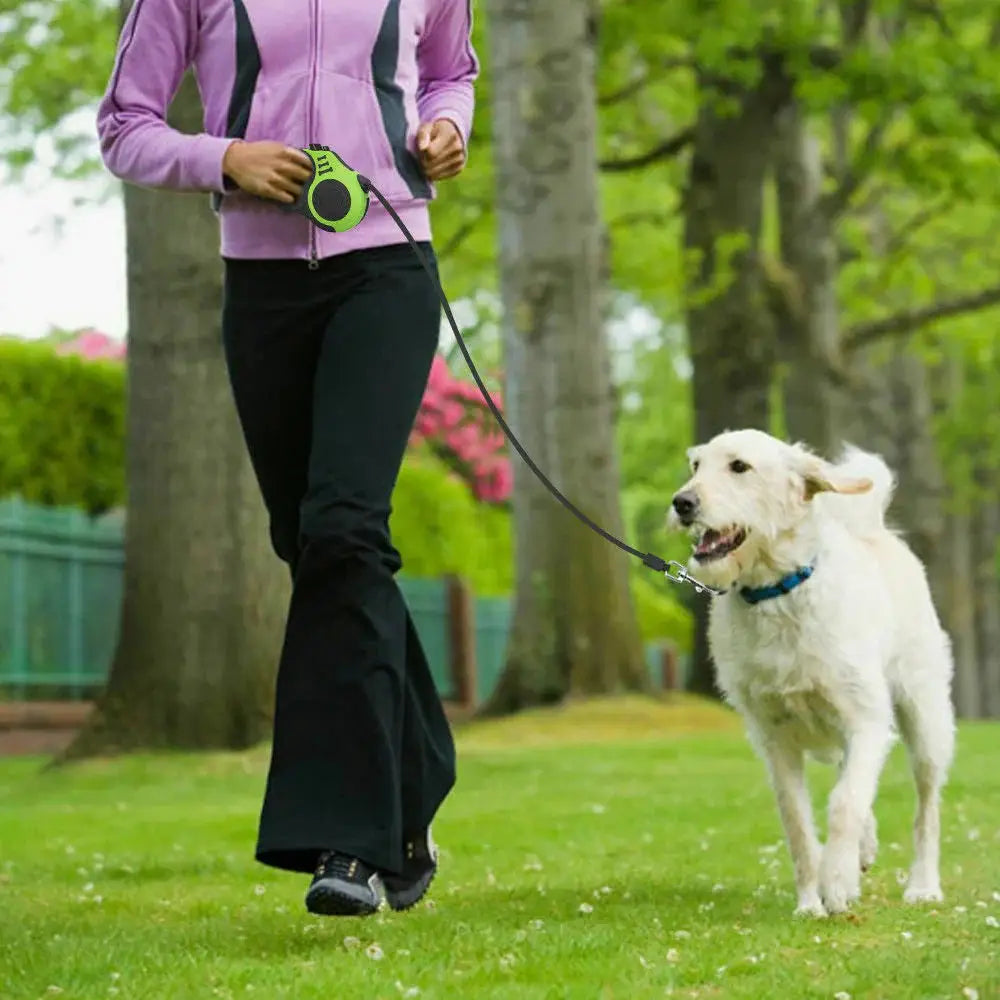 Retractable Dog Leash with Brake & Lock – Safe Durable & Easy to Use
