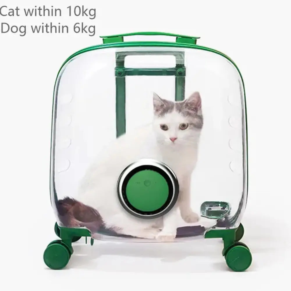 The Capsule Roller - Pet Accessories