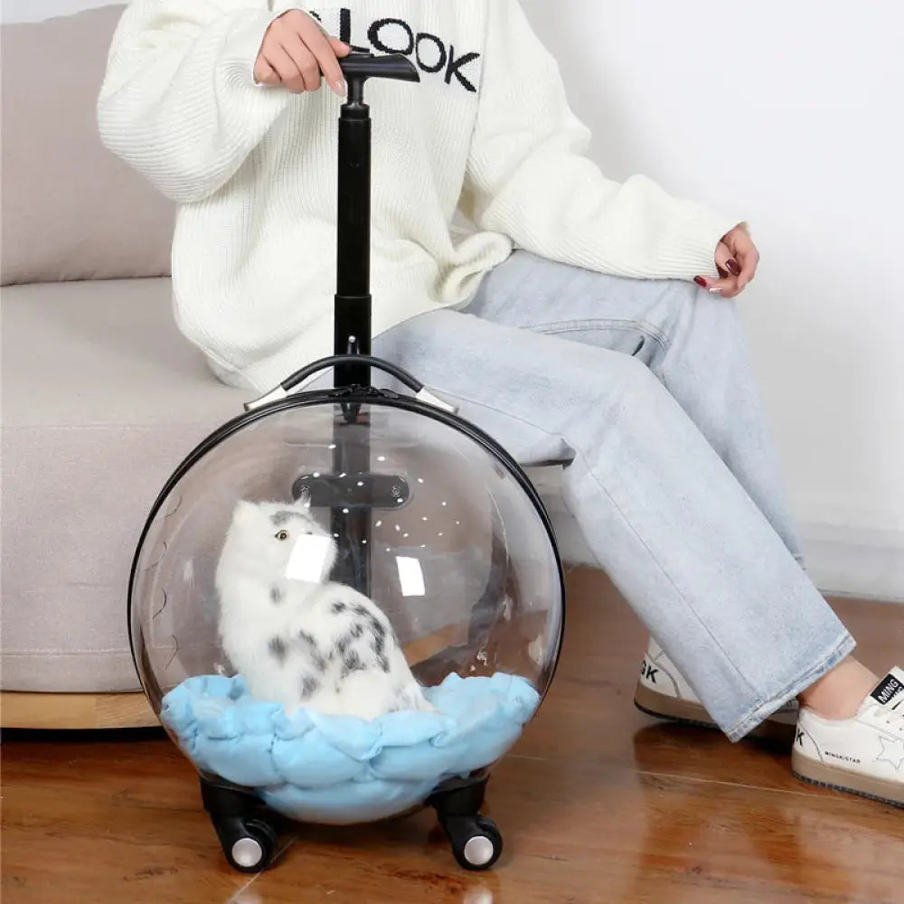 The Capsule Roller - Pet Accessories