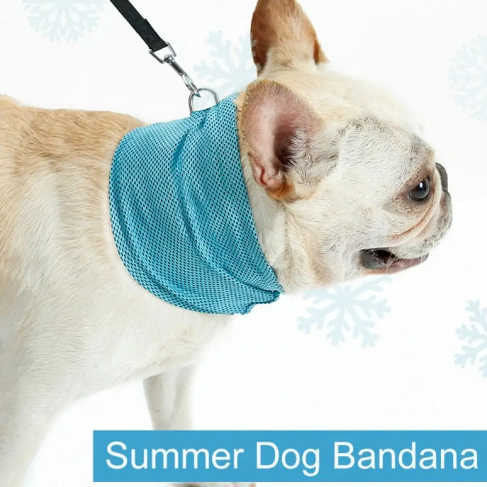 The Cool Neck Wrap - Pet Accessories