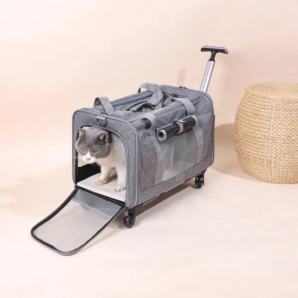 The Fold & Roll Travel Case - Pet Accessories