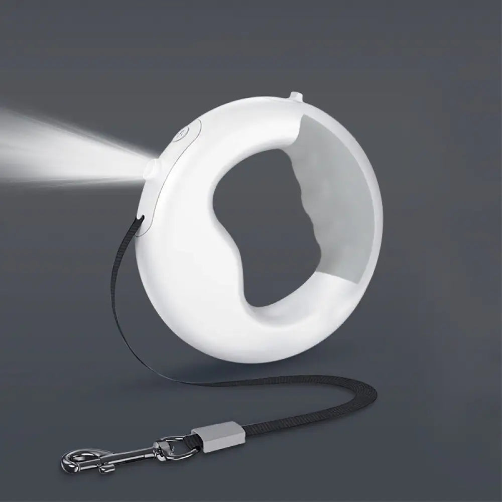 The Glow Walk Leash - Pet Accessories