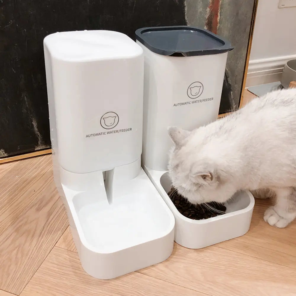 The Self-Fill Water Station - Pet Accessories