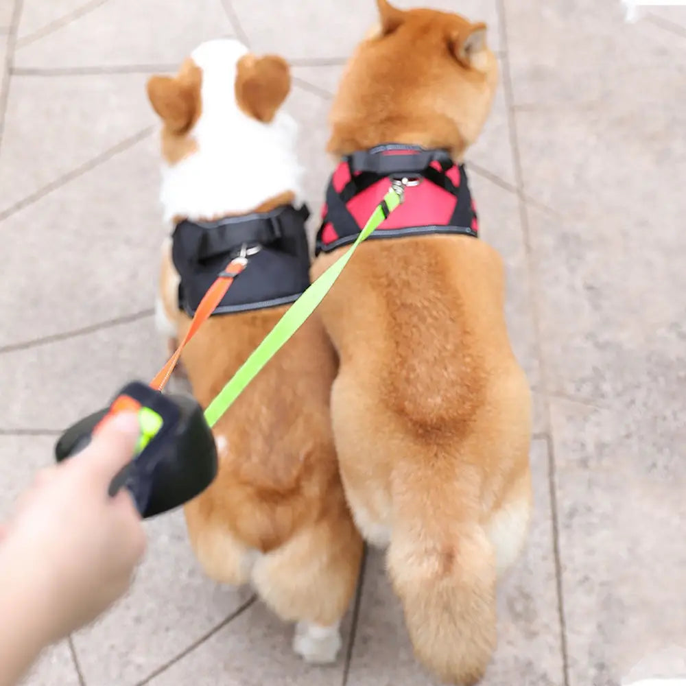 The Tangle-Free Duo Leash - Pet Accessories