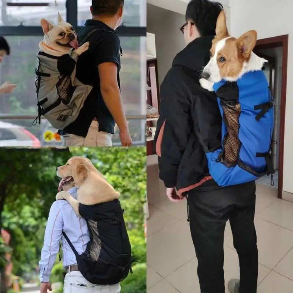 The Ventilated Trail Pack - Pet Accessories