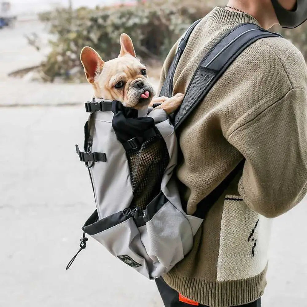 The Ventilated Trail Pack - Pet Accessories